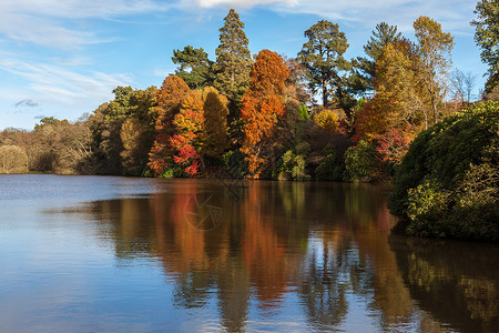 秋天谢菲尔德公园花高清图片