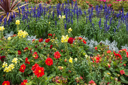 英式花园夏花在英式园棚中开背景
