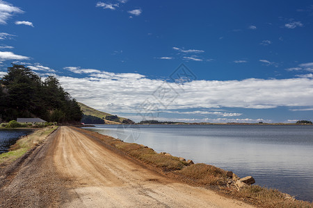 201年月日新西兰杜内丁附近的奥塔哥半岛图片