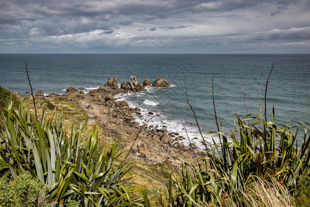 新西兰Foulwind角附近海岸线图片