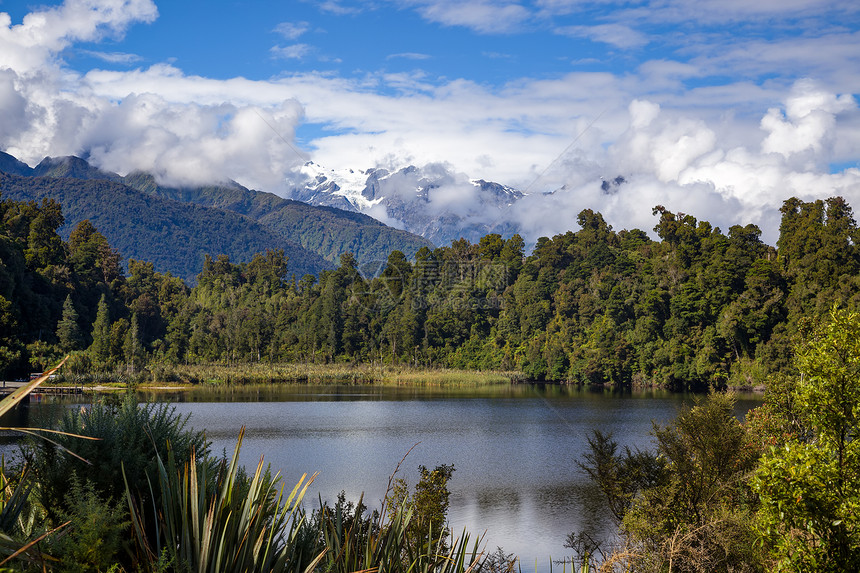 新西兰Mapourika湖风景图片