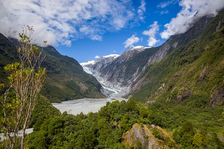 新西兰弗朗兹约瑟夫冰川的景象图片