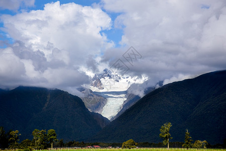 新西兰福克斯冰川的景象图片