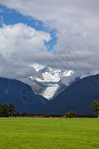 新西兰福克斯冰川的景象图片