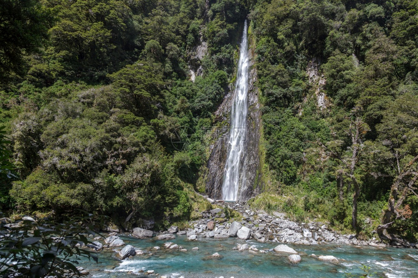 新西兰雷暴溪瀑布的景象图片
