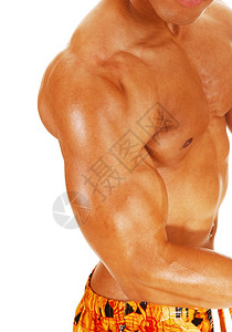 以白色背景隔离的有大肌肉健美建筑师手臂和胸部近图像图片