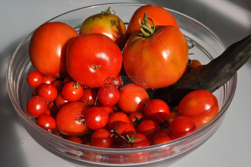 番茄茄属番茄蔬菜素食和纯素食品番茄蔬菜食品图片