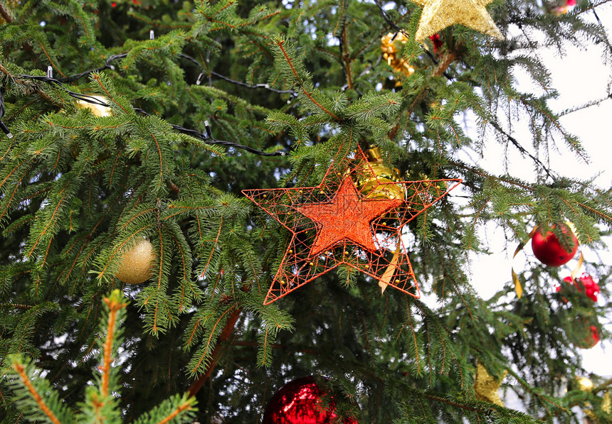 捷克布拉格圣诞树枝上美丽的装饰品图片