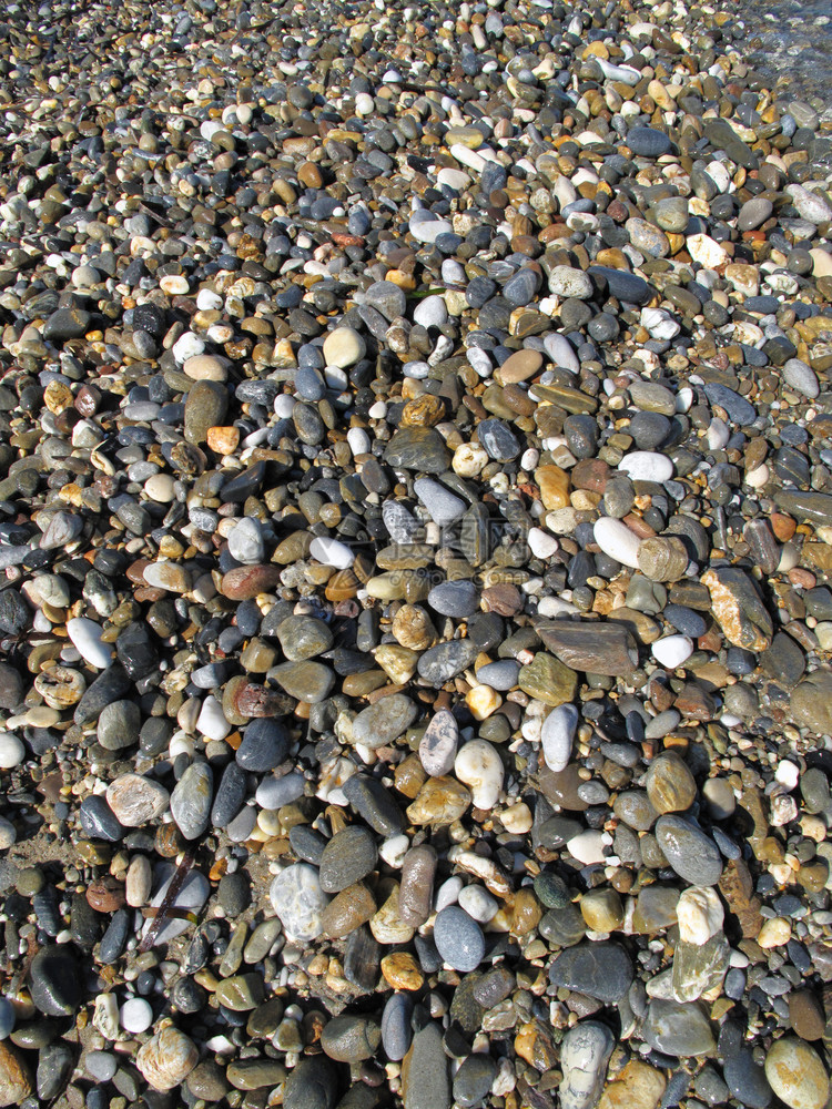 海滩上不同的石自然背景图片