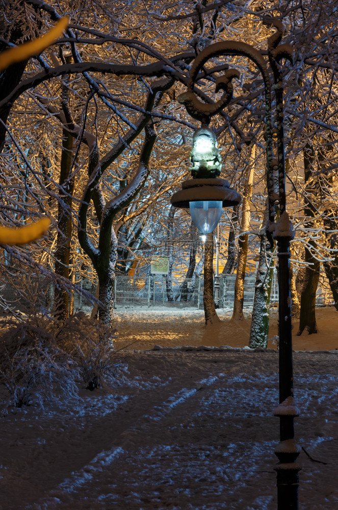 位于乌克兰利维夫市中心IvanFranko公园Lviv市中心图片