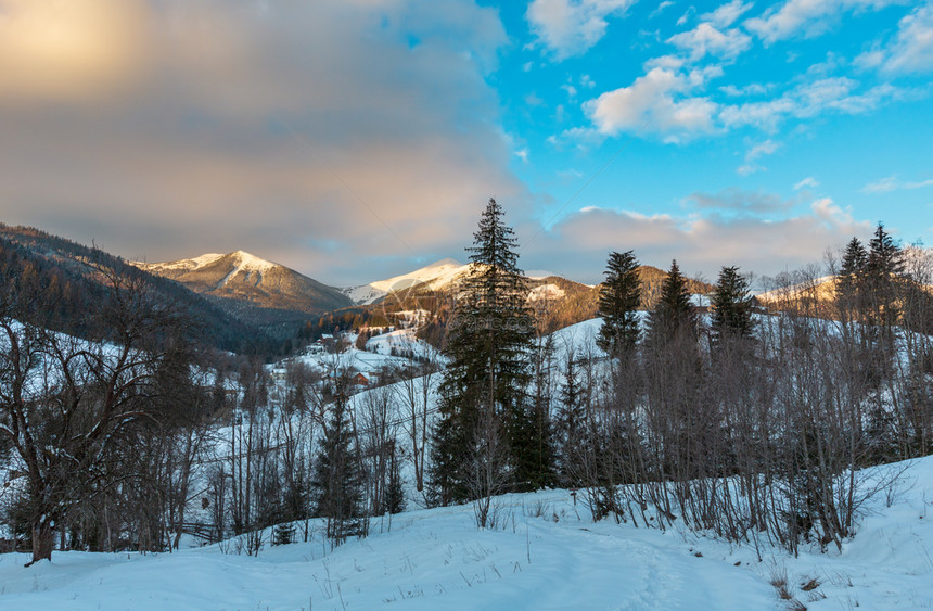 Dzembronya村农雪层覆盖的平坦景象图片