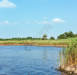 夏季Pryschukove蓝湖景观乌克兰基森地区高清图片