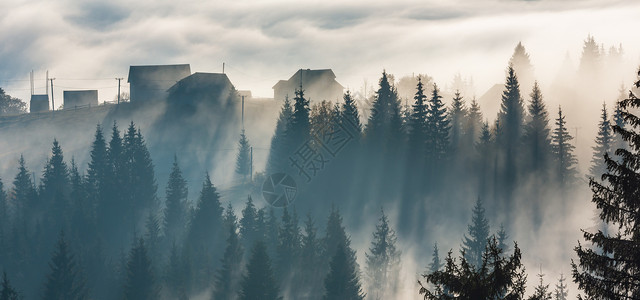上午在喀尔巴阡山坡乌克兰伊凡诺弗基夫斯克州亚布卢尼西村的雾中照射太阳图片