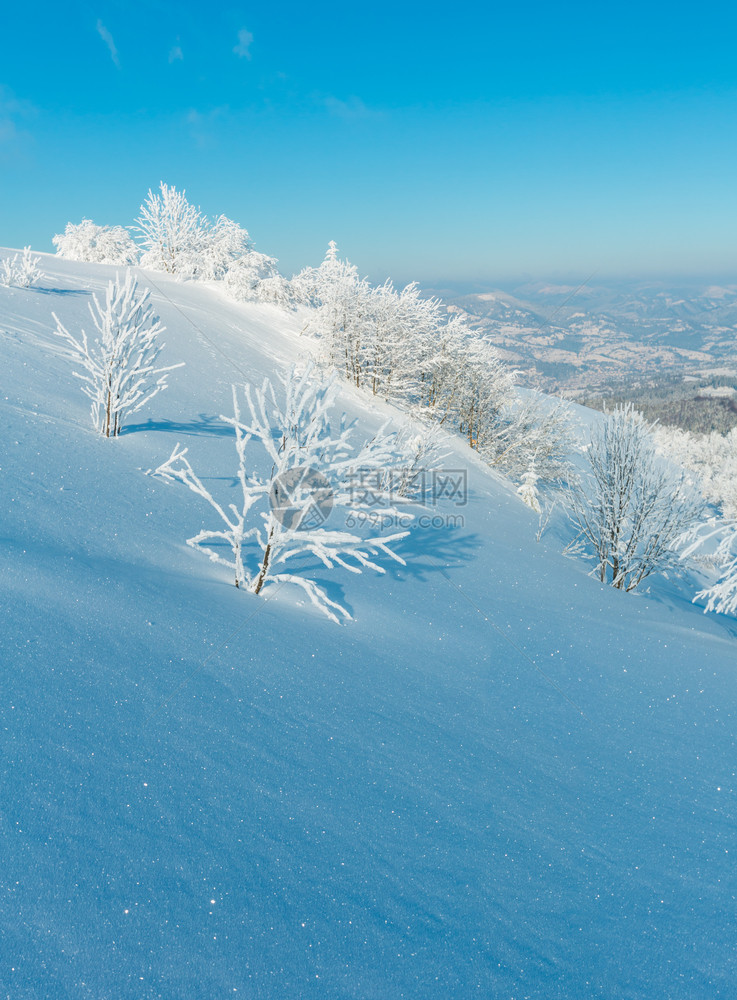 清晨冬季平静的山地景观坡上有美丽的霜冻树木和雪地滑乌克兰喀尔巴阡山图片