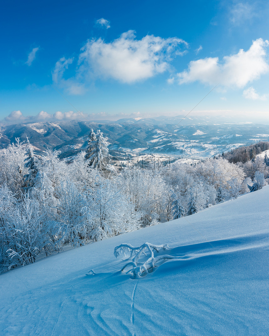 清晨冬季平静的山地景观坡上有美丽的霜冻树木和雪地滑乌克兰喀尔巴阡山图片