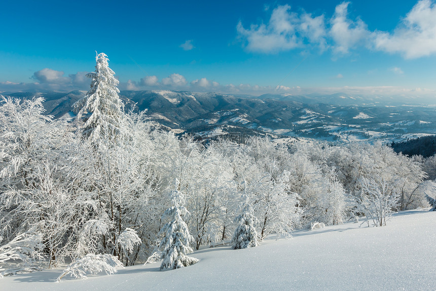 冬季平静的山地景观坡上有美丽的霜冻树木和滑雪乌克兰喀尔巴阡山图片