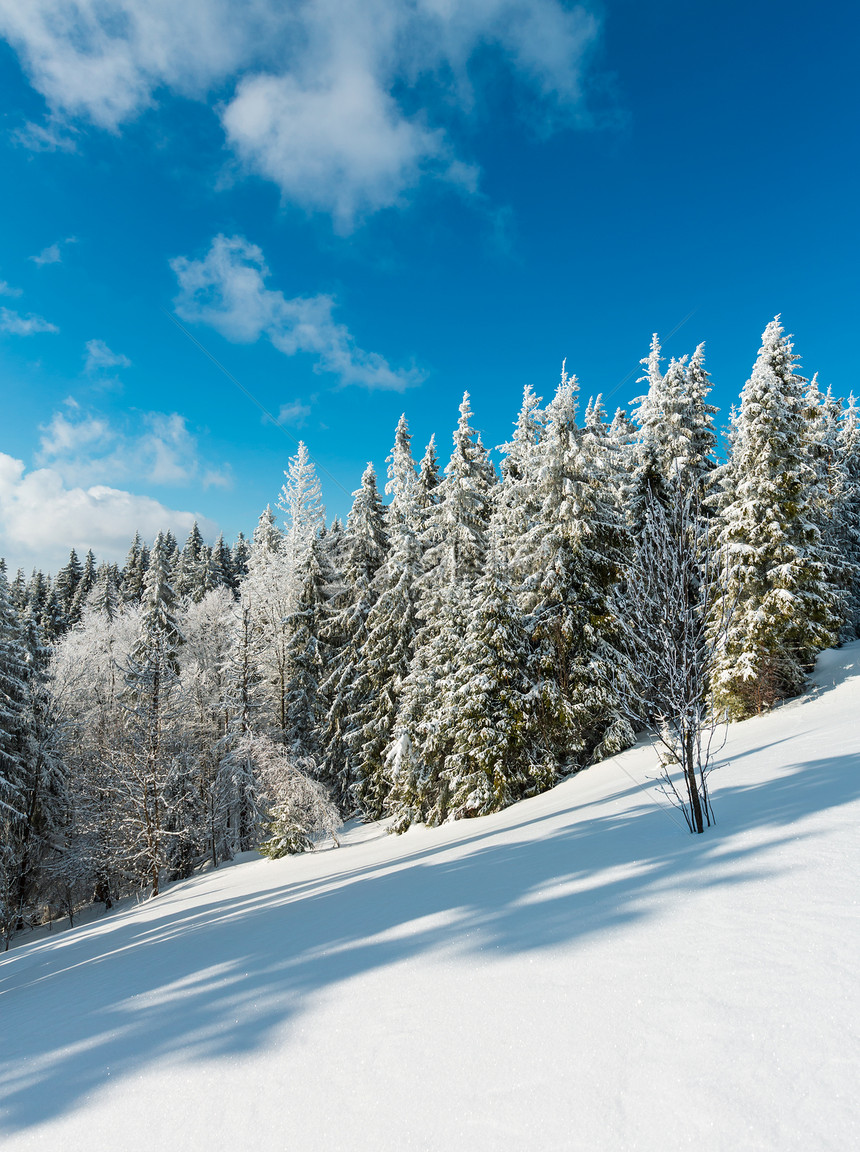 冬季平静的山地景观坡上有美丽的霜冻树木和滑雪乌克兰喀尔巴阡山图片