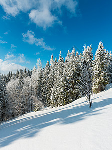 冬季平静的山地景观坡上有美丽的霜冻树木和滑雪乌克兰喀尔巴阡山图片