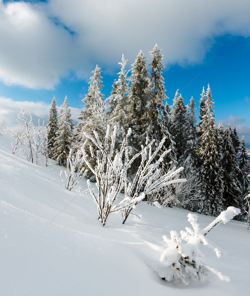 冬季平静的山地景观坡上有美丽的霜冻树木和滑雪乌克兰喀尔巴阡山图片