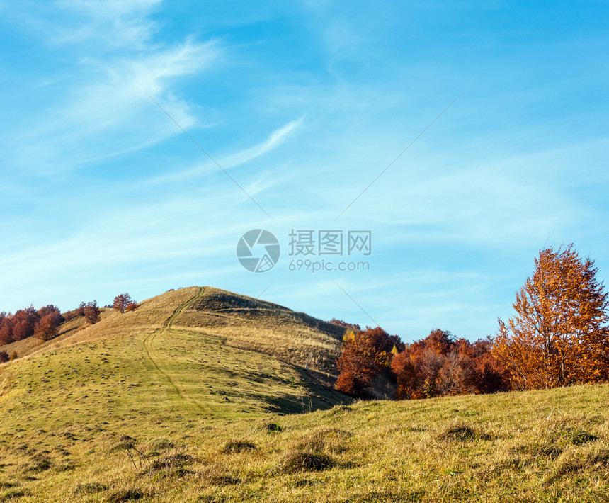 秋天喀尔巴阡山地貌坡上有多色树山坡上有脚拉希夫口横贯卡尔巴西亚乌克兰图片