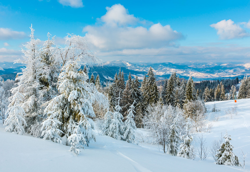 冬季平静的山区风景坡上有美丽的霜冻树木和滑雪喀尔巴阡山乌克兰远处的特罗斯山图片