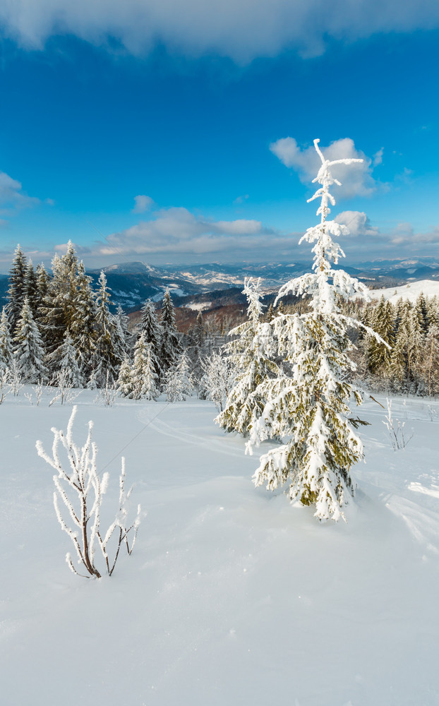 冬季平静的山地景观坡上有美丽的霜冻树木和滑雪跑道穿过山坡上的雪流喀尔巴阡山乌克兰图片