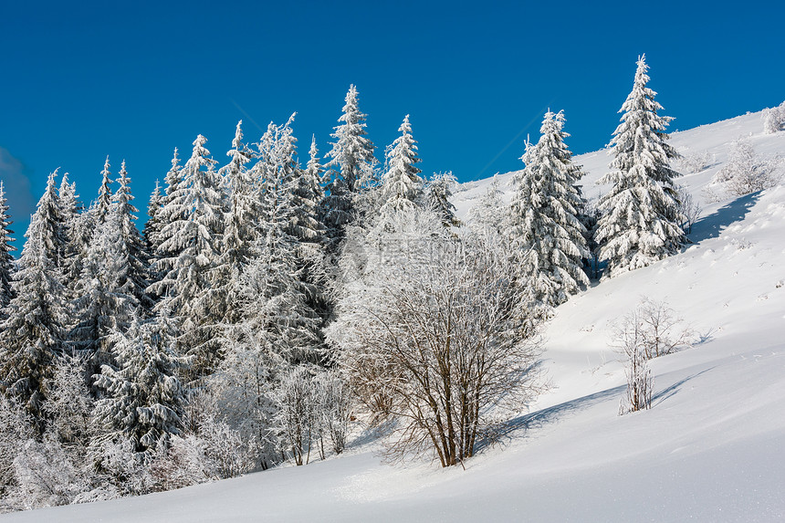 冬季平静的山地景观坡上有美丽的霜冻树木和滑雪乌克兰喀尔巴阡山图片