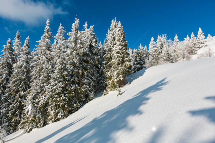 冬季平静的山地景观坡上有美丽的霜冻树木和滑雪乌克兰喀尔巴阡山图片