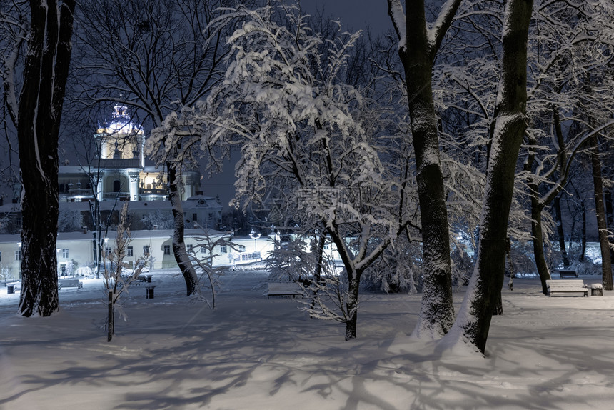 利沃夫市乌克兰中心有美丽的冬季夜间公园有雪覆盖的树木和长椅远处是圣乔治教堂图片