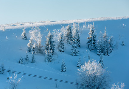 清晨冬季平静的山地景观雪坡上有美丽的霜冻树木和雪地滑乌克兰喀尔巴阡山图片