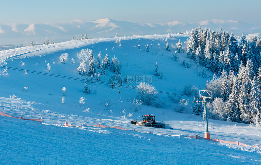 喀尔巴阡山被白雪覆盖的树木景观图片