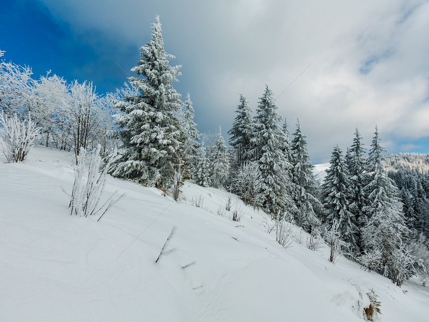 冬季平静的山地景观坡上有美丽的霜冻树木和滑雪乌克兰喀尔巴阡山图片