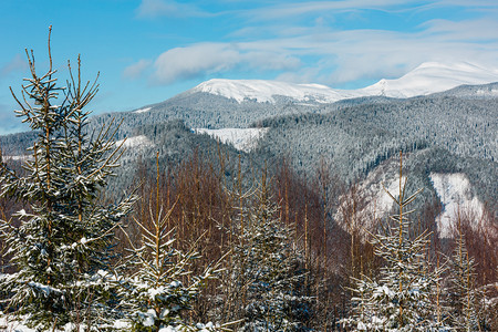 费尔希夫照片来自小森林和Skupova山高坡乌克兰最高霍夫纳区Chonohora山脊和PipIvan山峰喀尔巴阡背景