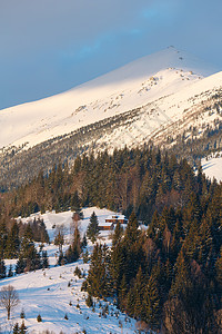 冬季的雪覆盖了风景图的阿尔普山脊乌克兰喀尔巴阡山克霍诺拉脉宁静的Dzembronya村郊区背景图片