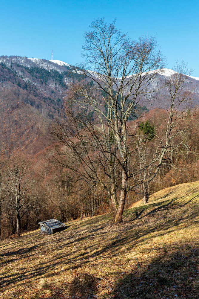 早期的喀尔巴阡山脉高原景观图片