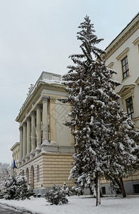 乌克兰利沃夫市中心美丽的冬季城市景色利沃夫国立理工大学主要建筑外墙和入口背景图片