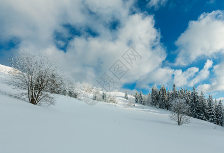 冬季平静的山地景观坡上有美丽的霜冻树木和滑雪乌克兰喀尔巴阡山图片