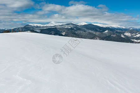 照片来自乌克兰雪地滑坡Skupova山坡的冬风景背景图片