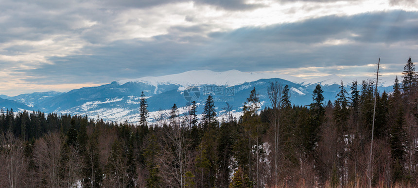 黄昏的冬天雪覆盖了阿尔普山脊乌克兰喀尔巴阡山斯维多茨脉雅布卢尼察山口的风景图片