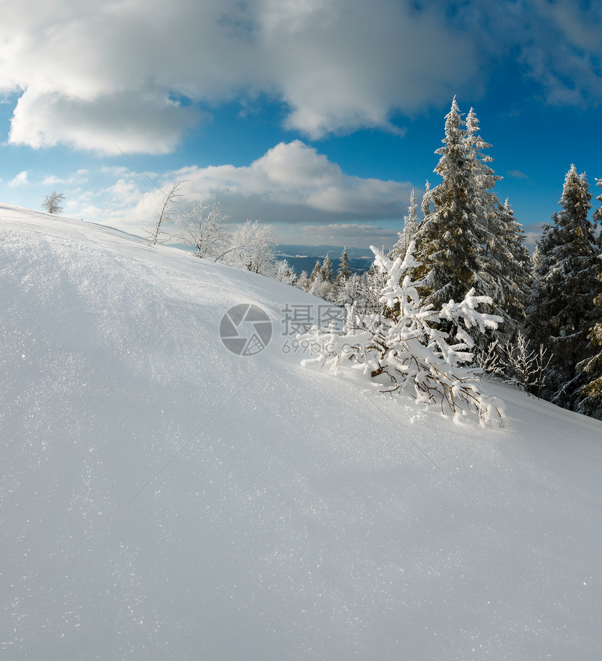 冬季平静的山区风景坡乌克兰喀尔巴阡山上有美丽的霜冻树木和雪流图片