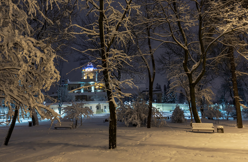 利沃夫市乌克兰中心有美丽的冬季夜间公园有雪覆盖的树木和长椅远处是圣乔治教堂图片