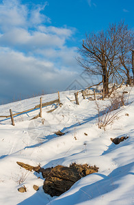 冬季的足迹和一些枯的风树图片