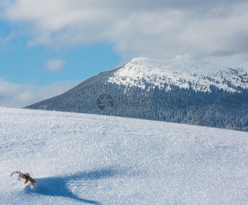 雪地表面有晶状花和后山冬季概念的自然宏观背景图片