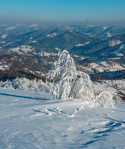 清晨冬季平静的山地景观坡上有美丽的霜冻树木和雪地喀尔巴阡山乌克兰图片