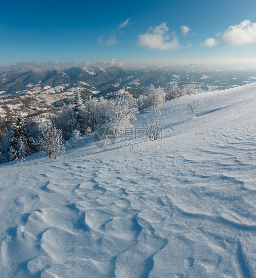 清晨冬季平静的山地景观坡上有美丽的霜冻树木和雪地滑乌克兰喀尔巴阡山图片