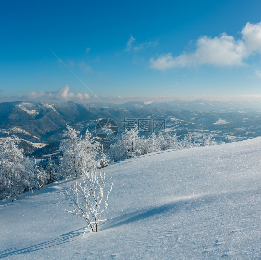 清晨冬季平静的山地景观坡上有美丽的霜冻树木和雪地滑乌克兰喀尔巴阡山图片