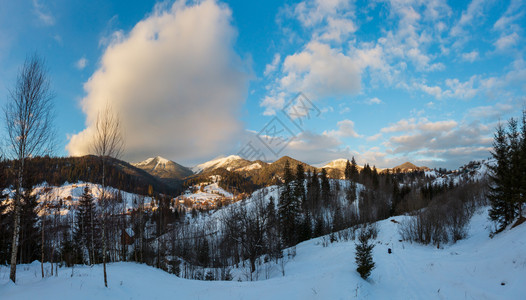 Dzembronya村农雪层覆盖的平坦景象高清图片