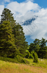 夏季阿尔卑斯山脉景观草原坡上有野生花朵云峰在瑞士图片