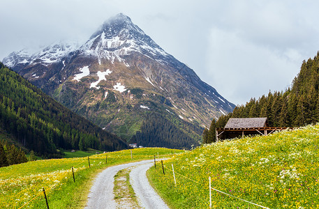 夏季山地景观斜坡开阔乡村公路奥地利SilvrettaAlps图片