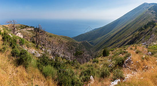 山坡上带干树和的夏季Llogara过道阿尔巴尼亚高清图片